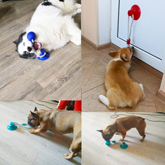 Pet Puppy Interactive Suction Cup Push TPR Ball Toys Molar Bite Toy