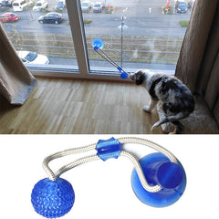 Pet Puppy Interactive Suction Cup Push TPR Ball Toys Molar Bite Toy