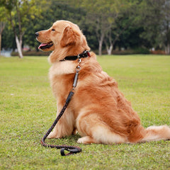 Pet Leather Dog Collar Leash For Large Dog Leather Dog Traction