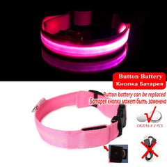 Led Dog Collar Light Anti-lost Collar For Dogs Puppies