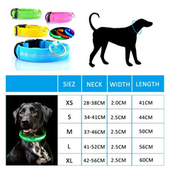 Led Dog Collar Light Anti-lost Collar For Dogs Puppies