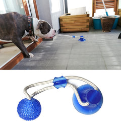 Pet Puppy Interactive Suction Cup Push TPR Ball Toys Molar Bite Toy