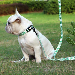 Print Nylon Dog Collar and Leash Set Adjustable Puppy Collars