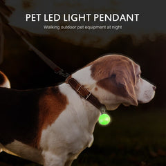 WHOLESALE LED Pet Collar Pendant Flashing For Pet Safety Keyring Night