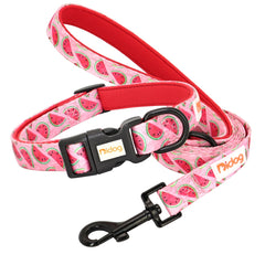 Print Nylon Dog Collar and Leash Set Adjustable Puppy Collars