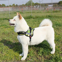 Top Large Dog Harness Vest Golden Panda K8 Safety Lock Dog Harness