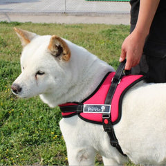 Top Large Dog Harness Vest Golden Panda K8 Safety Lock Dog Harness