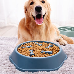 Pet Feeding Food Bowls