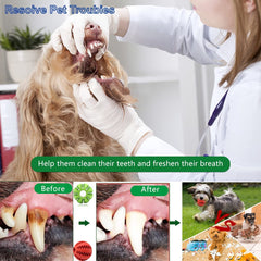 Dog Chew Toy Teeth Cleaning Snack Ball Pet Dog Toy Ball