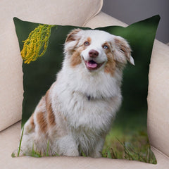 Australian Shepherd Pillowcase Cute Dog Animal Pillowcase Cover