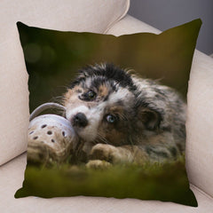 Australian Shepherd Pillowcase Cute Dog Animal Pillowcase Cover