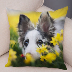 Australian Shepherd Pillowcase Cute Dog Animal Pillowcase Cover