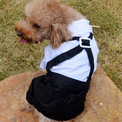 Pet Supplies Four-legged Clothes Dog Dresses