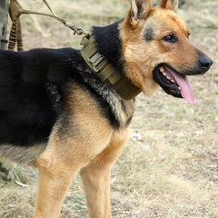 Heavy Tactical Dog Collar with Metal Buckle  Adjustable Millitary Trainning Dog Collar